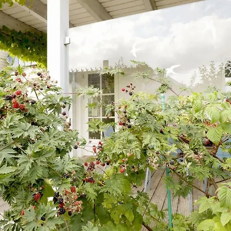 Prázdninový dům Casa Mare Baltico Reethaus