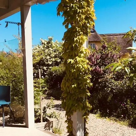 Prázdninový dům Casa Mare Baltico Reethaus